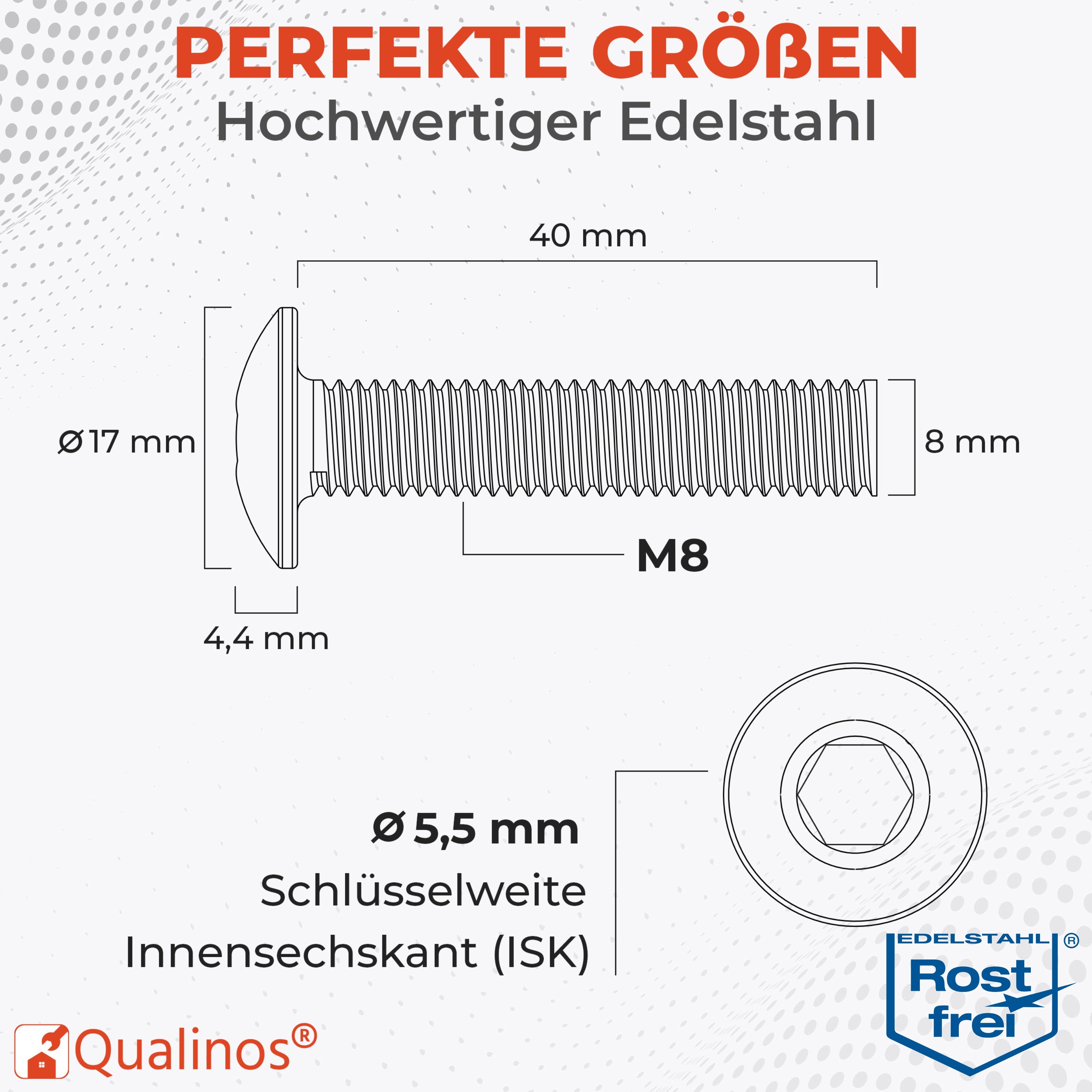 Zaunbauschrauben M8 x 40 mm V2A Edelstahl (10 Stück) – 5,5 mm 6-Kant Stabmattenzaun Zubehör zur Doppelstabmattenzaun Befestigung